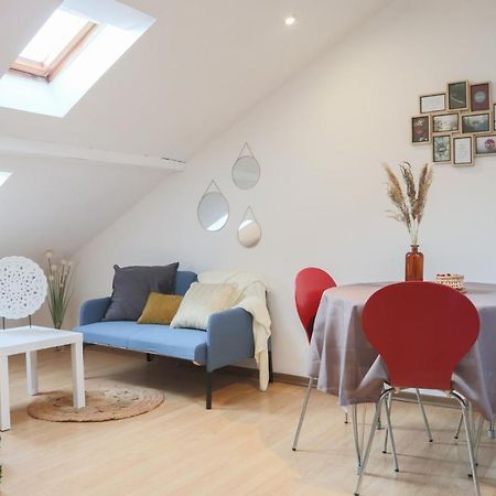 شقة Le Petit Loft, Mulhouse Centre المظهر الخارجي الصورة