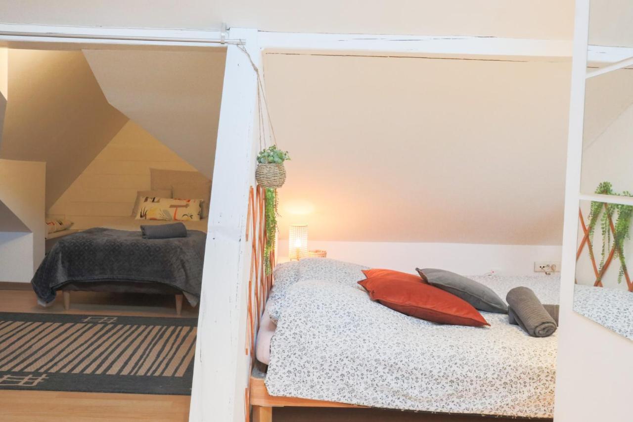 شقة Le Petit Loft, Mulhouse Centre المظهر الخارجي الصورة