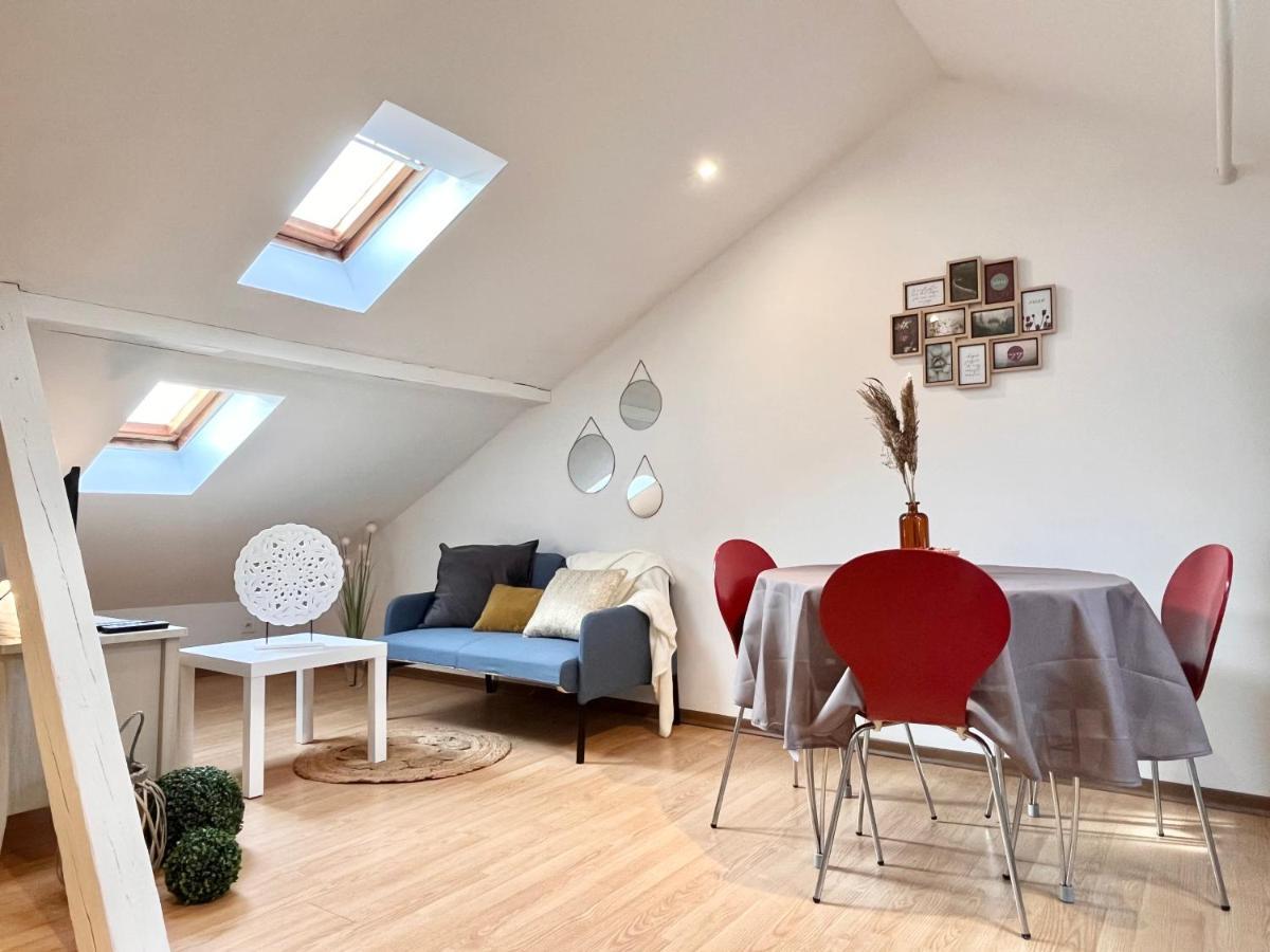 شقة Le Petit Loft, Mulhouse Centre المظهر الخارجي الصورة
