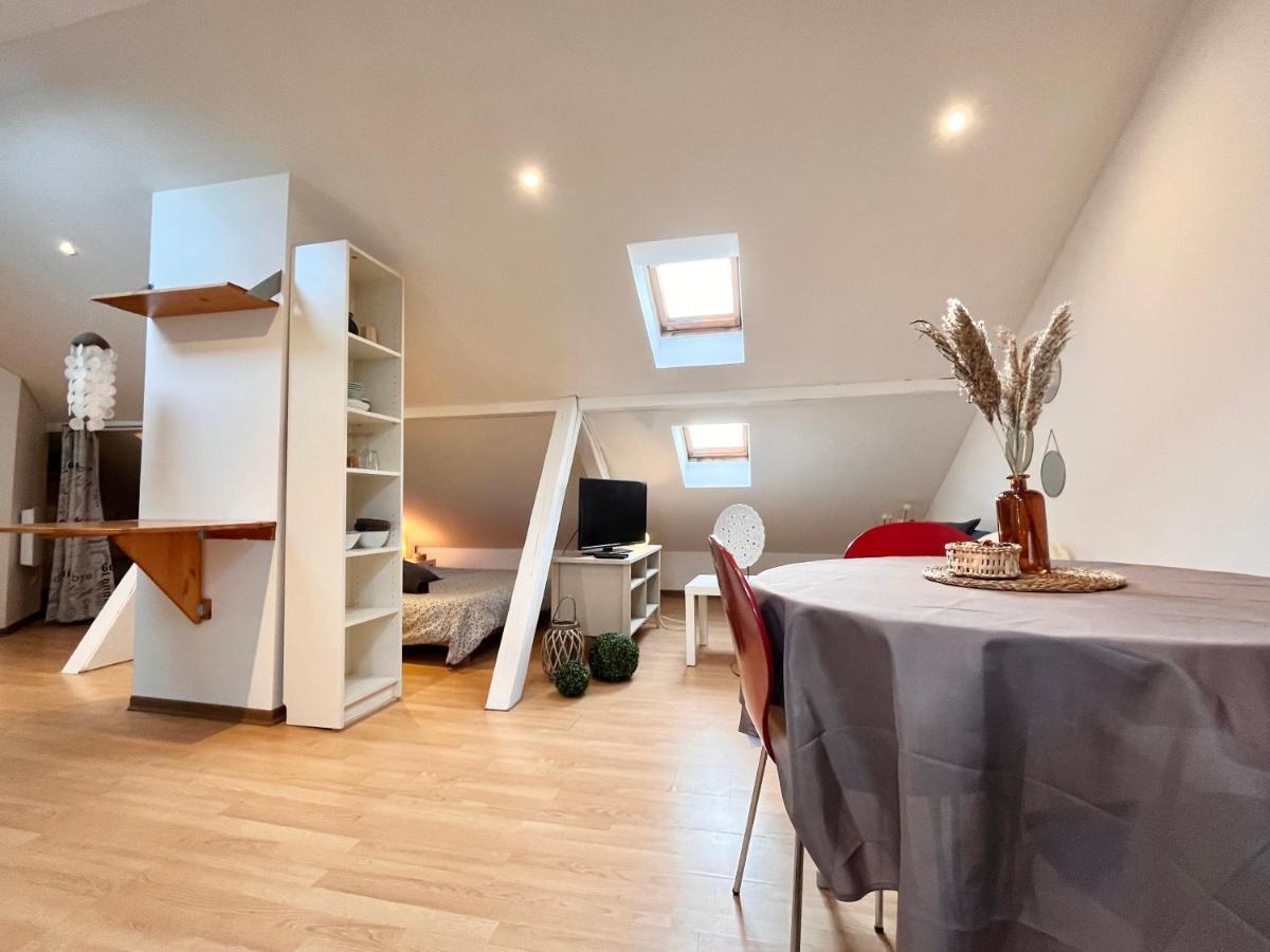 شقة Le Petit Loft, Mulhouse Centre المظهر الخارجي الصورة