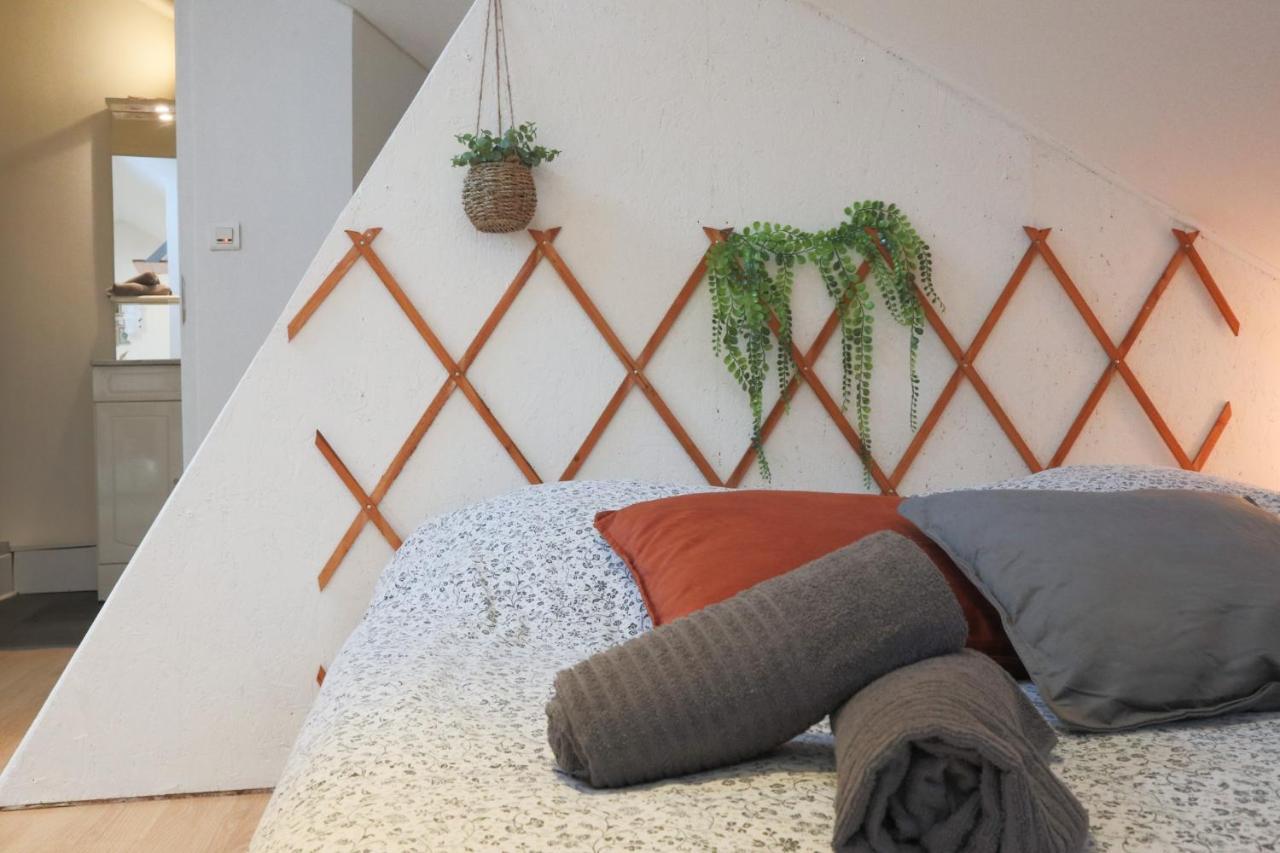 شقة Le Petit Loft, Mulhouse Centre المظهر الخارجي الصورة