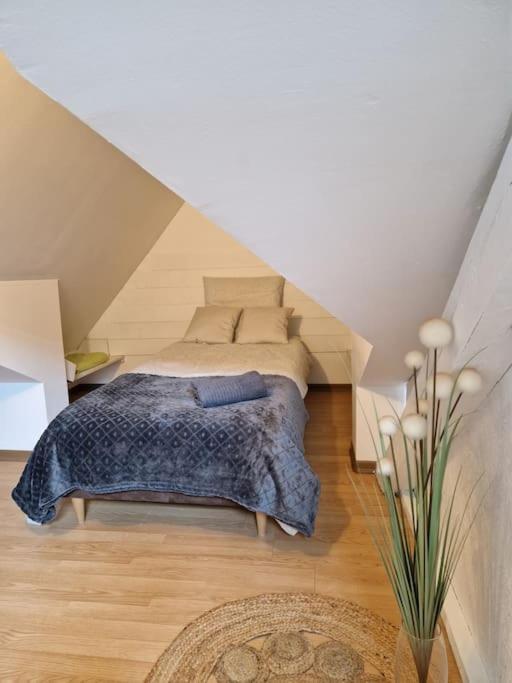 شقة Le Petit Loft, Mulhouse Centre المظهر الخارجي الصورة