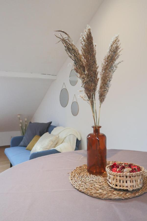 شقة Le Petit Loft, Mulhouse Centre المظهر الخارجي الصورة