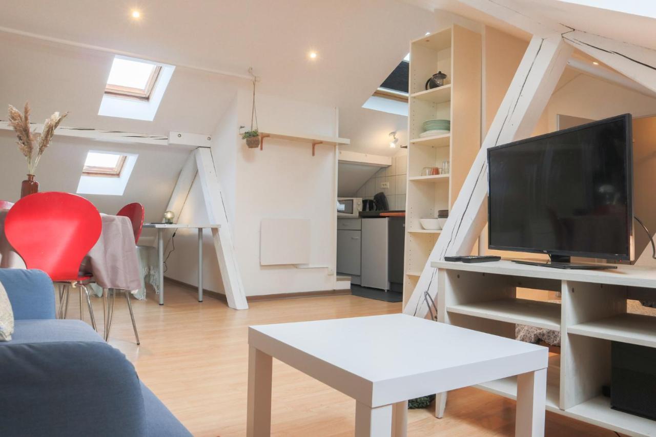 شقة Le Petit Loft, Mulhouse Centre المظهر الخارجي الصورة