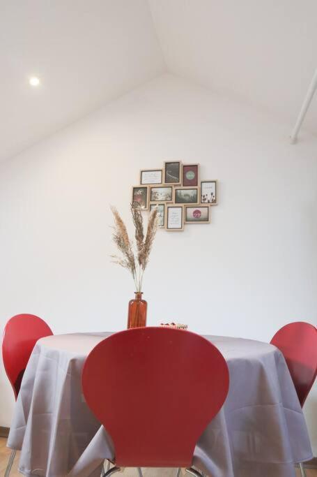 شقة Le Petit Loft, Mulhouse Centre المظهر الخارجي الصورة