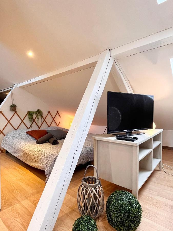 شقة Le Petit Loft, Mulhouse Centre المظهر الخارجي الصورة